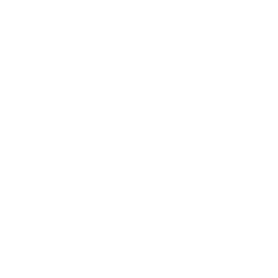Googleplus 256